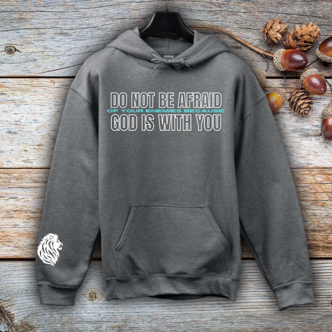 God is with you Hoodie