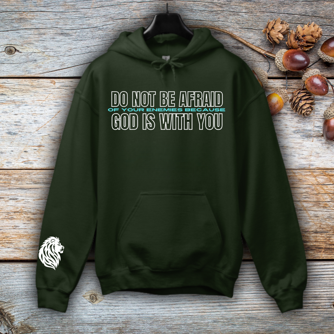 God is with you Hoodie