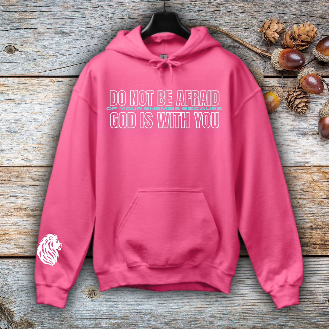 God is with you Hoodie